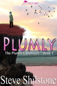 plumly cover